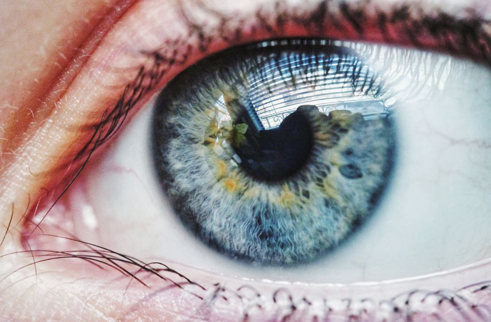 Regenerating Eye Tissues to Preserve and Restore Vision
